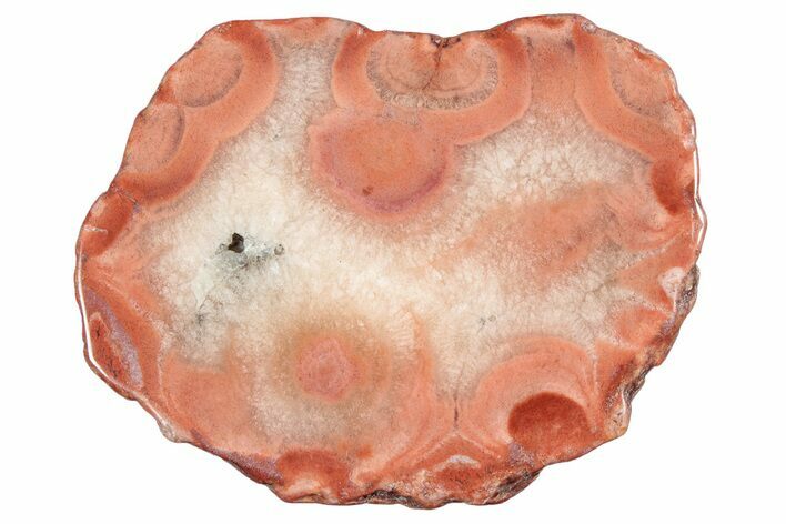 Polished Potato Agate Slice - England #283086